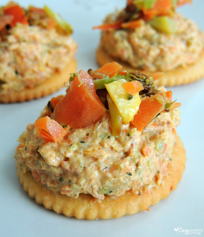 Game Time Roasted Vegetable Dip w/ Ritz Crackers